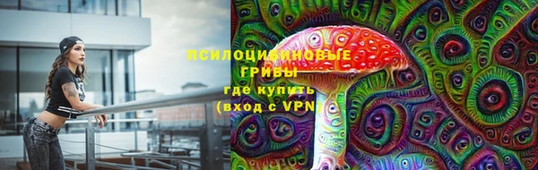 МДПВ Армянск