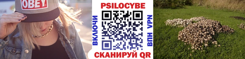 Галлюциногенные грибы Psilocybine cubensis  Тавда 
